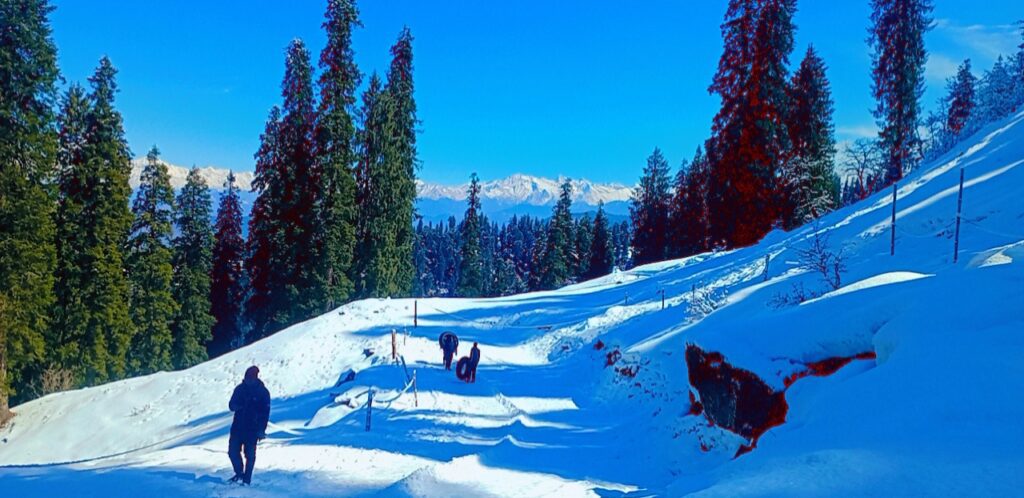 skiing at hatu narkanda