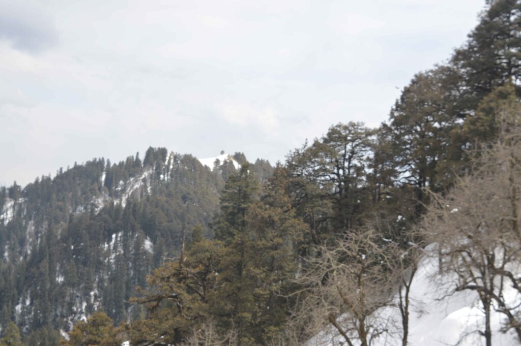 view from hatu top