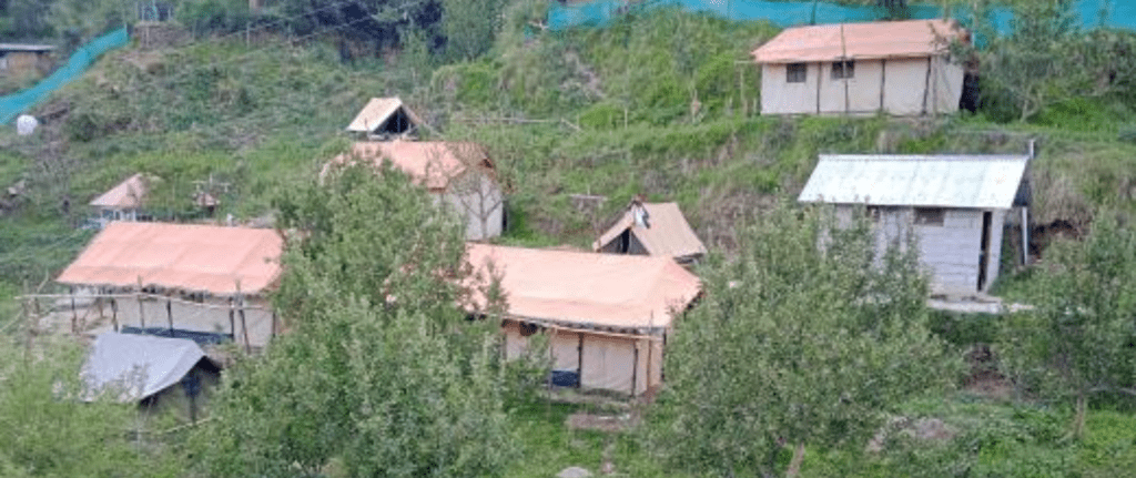 Camping In Narkanda. Camp Himalayan yew.